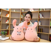 Lade das Bild in den Galerie-Viewer, Toilet Bound Hanako Kun Mokke Plush Pillow